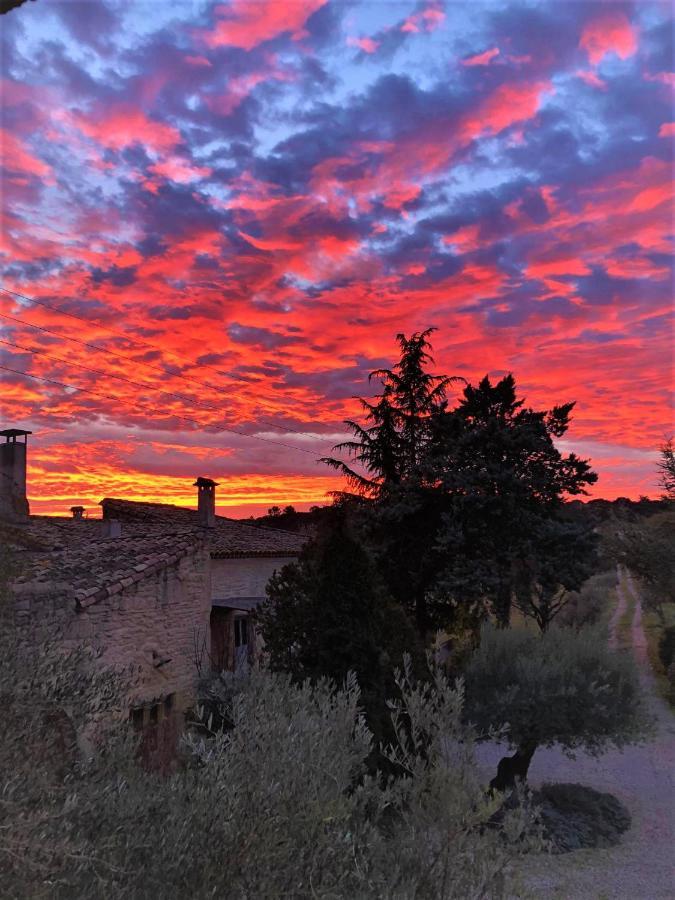 Mas De La Rivoire B&B Villevieille Kültér fotó