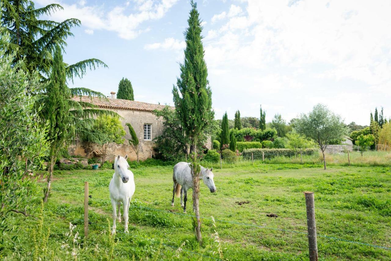 Mas De La Rivoire B&B Villevieille Kültér fotó